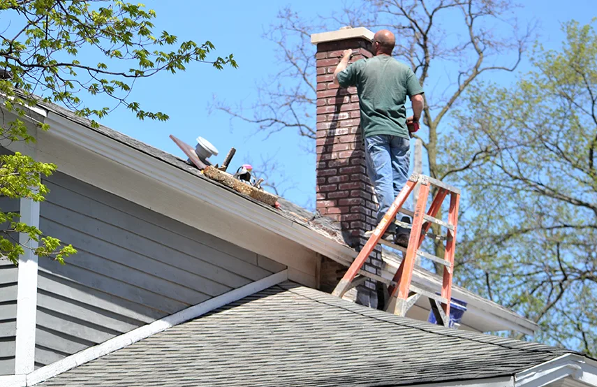 Chimney & Fireplace Inspections Services in DeSoto, TX